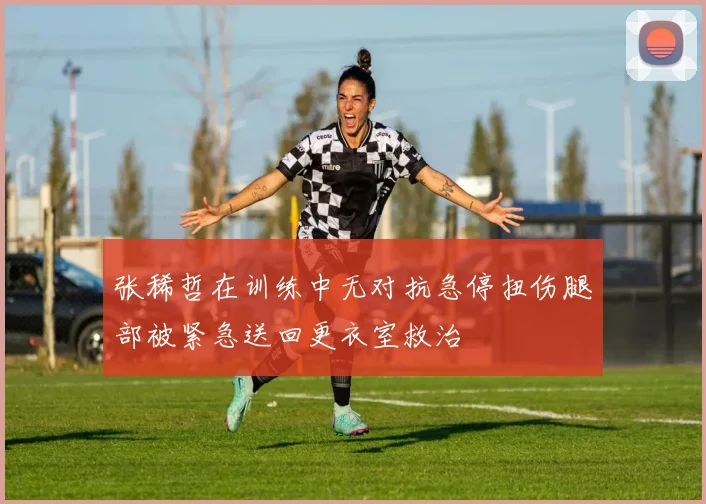 张稀哲在训练中无对抗急停扭伤腿部被紧急送回更衣室救治