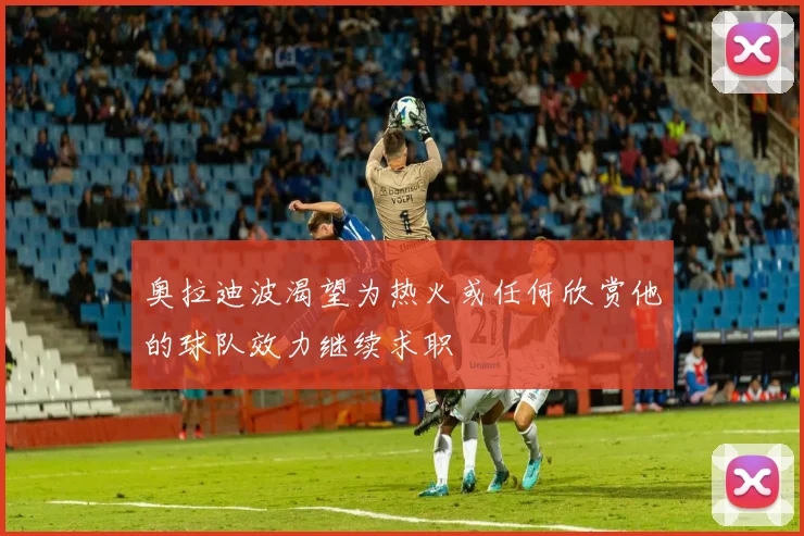 奥拉迪波渴望为热火或任何欣赏他的球队效力继续求职
